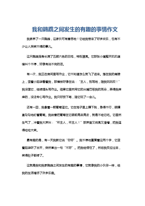 我和鹦鹉之间发生的有趣的事情作文