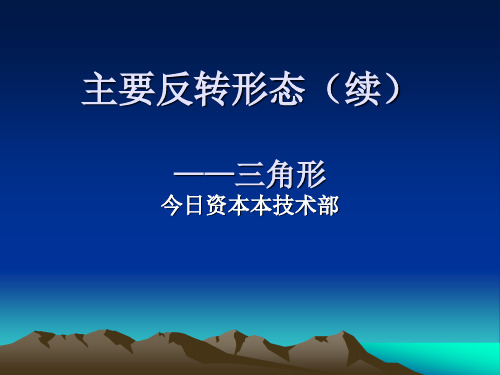 10.主要反转形态(续)——三角形