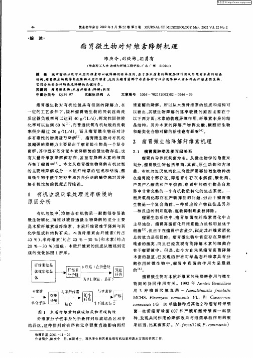 瘤胃微生物对纤维素降解机理