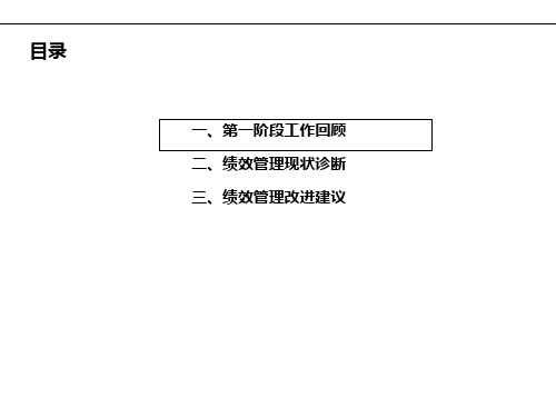 绩效管理诊断报告.