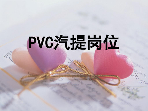 PVC气提岗位 2