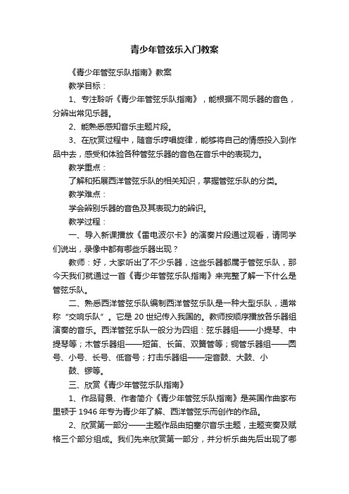 青少年管弦乐入门教案