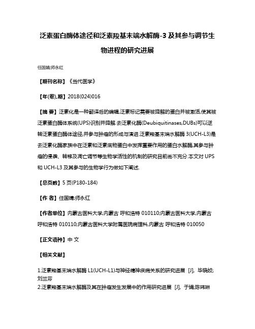 泛素蛋白酶体途径和泛素羧基末端水解酶-3及其参与调节生物进程的研究进展