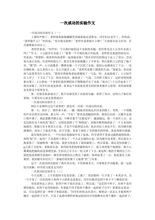 一次成功的实验作文