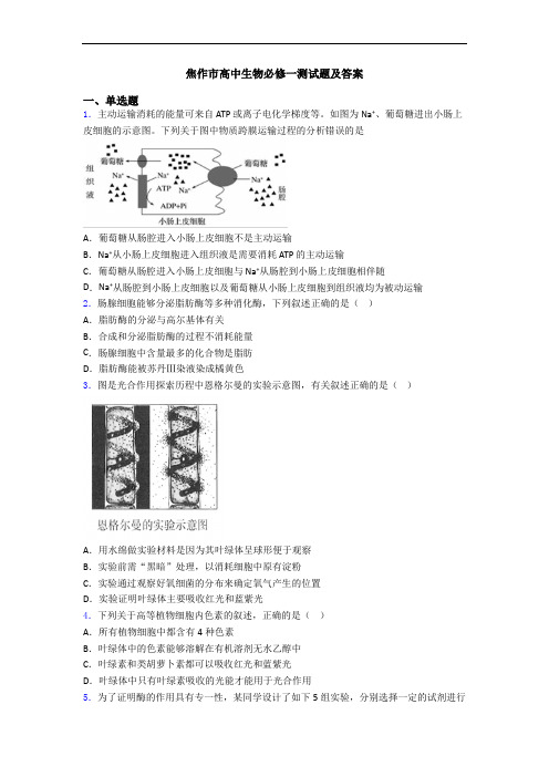 焦作市高中生物必修一测试题及答案