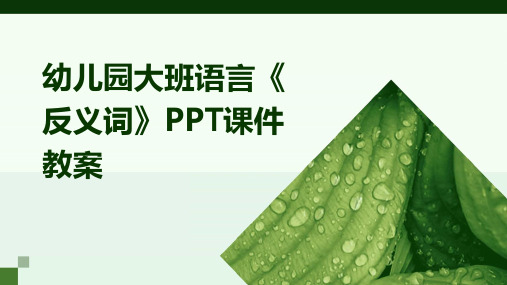 幼儿园大班语言《反义词》PPT课件教案