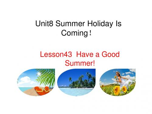 (新版)冀教版七年级英语下册：unit 8 Summer Holiday 