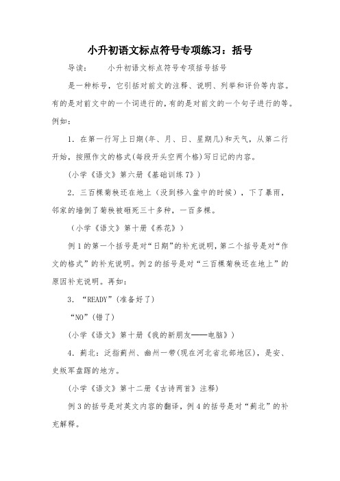 小升初语文标点符号专项练习:括号