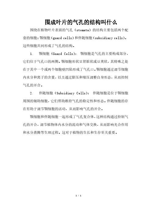 围成叶片的气孔的结构叫什么