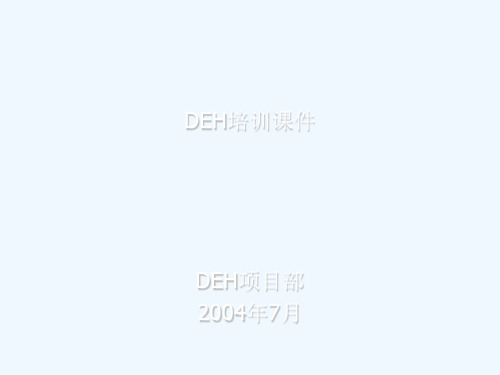 DEH培训课件