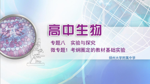 【高考】生物复习实验与探究微考纲圈定的教材基础实验ppt课件