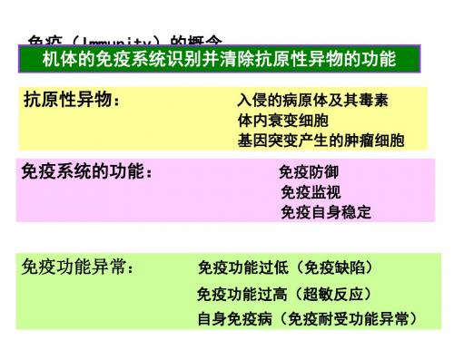 免疫学重点复习课件ppt课件