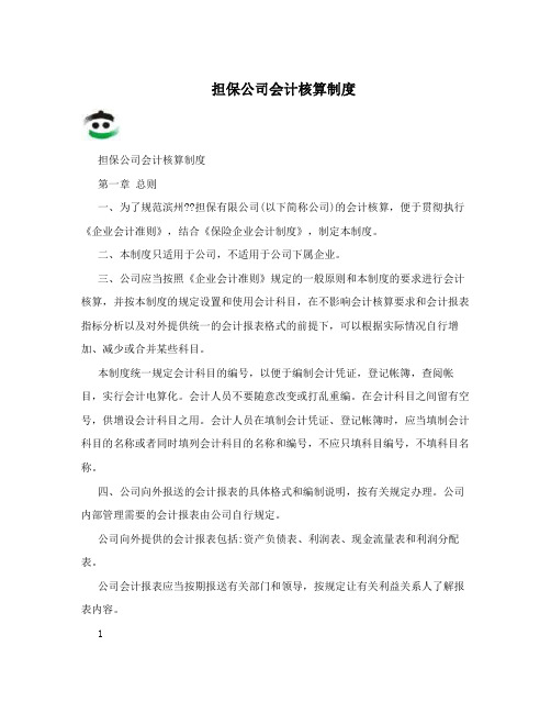 担保公司会计核算制度