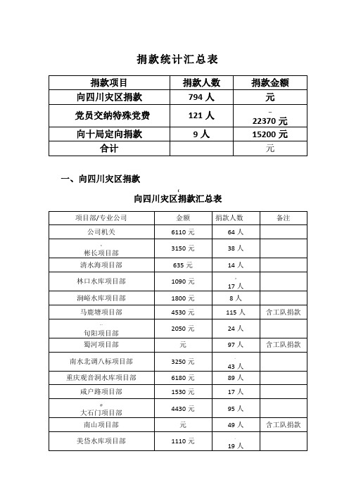 捐款统计汇总表