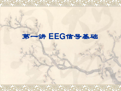 第一讲 EEG信号基础PPT课件