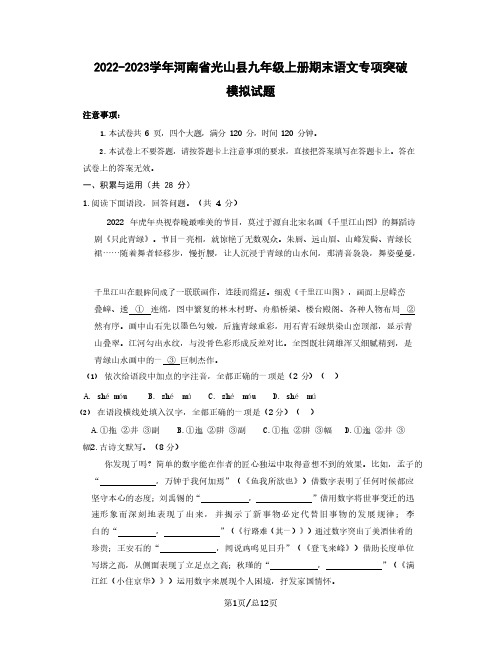 2022-2023学年河南省光山县九年级上册期末语文专项突破模拟试题(含解析)