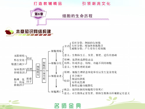 2014届高考生物(人教全国通用)一轮复习《必修1第6章细胞的生命历程》