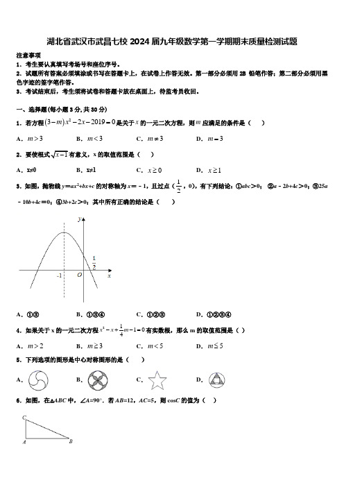 湖北省武汉市武昌七校2024届九年级数学第一学期期末质量检测试题含解析