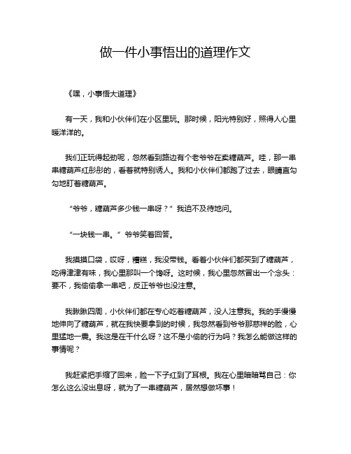 做一件小事悟出的道理作文