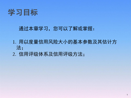 06第六讲信用风险之信用评级方法风险投资学教学课件