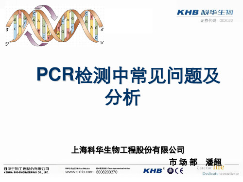 临床PCR检测中常见问题及分析