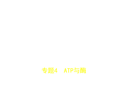 2018年高考生物(江苏省专用)一轮总复习专题测试课件专题4 ATP与酶 (共62张PPT)
