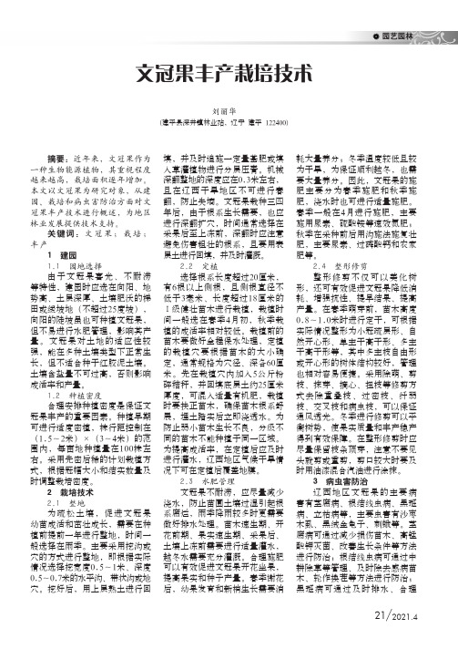 文冠果丰产栽培技术