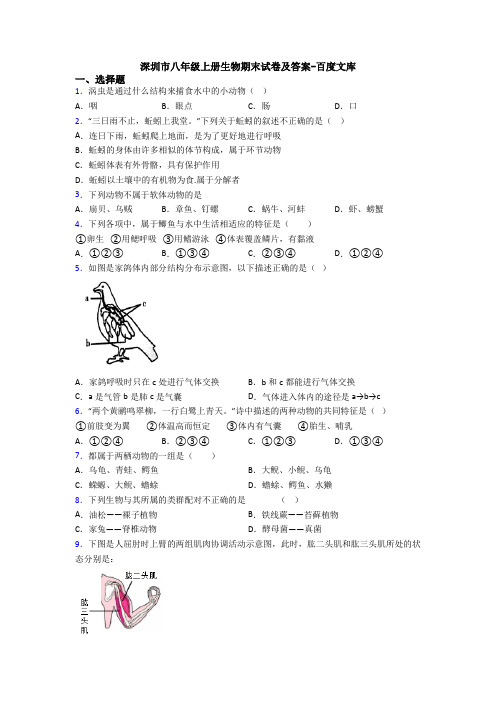 深圳市八年级上册生物期末试卷及答案-百度文库