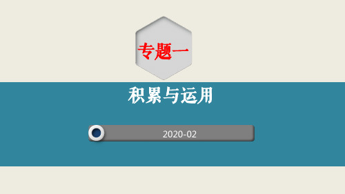 2020中考 语文专题复习 专题一  《积累与运用》