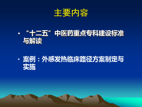 中医药重点专科建设指南及临床路径管理案例