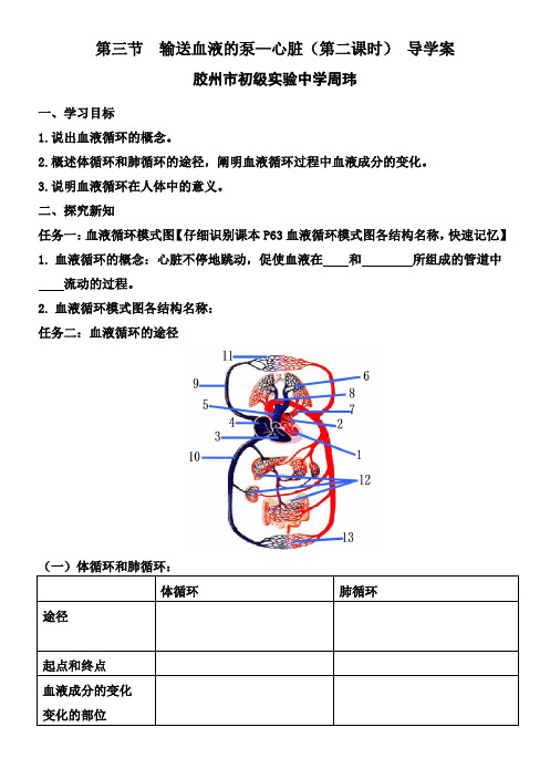 【导学案】-输送血液的泵—心脏(第二课时)_生物_初中_周玮