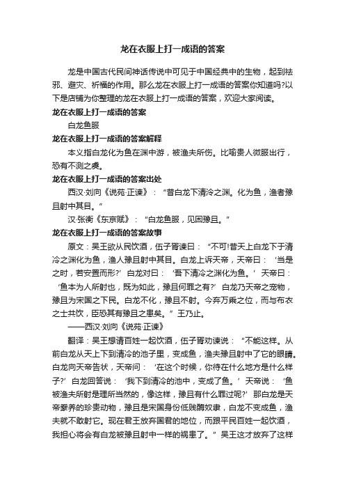 龙在衣服上打一成语的答案