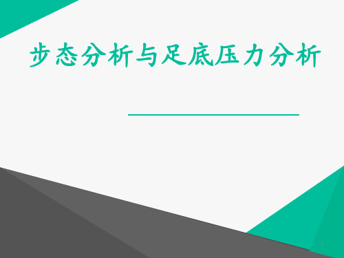 步态分析与足底压力分析  ppt课件