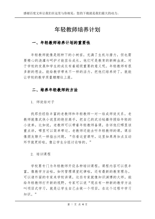 年轻教师培养计划