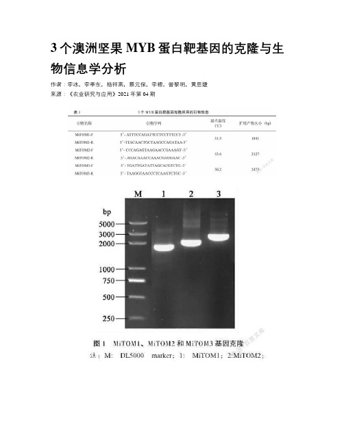 3个澳洲坚果MYB蛋白靶基因的克隆与生物信息学分析