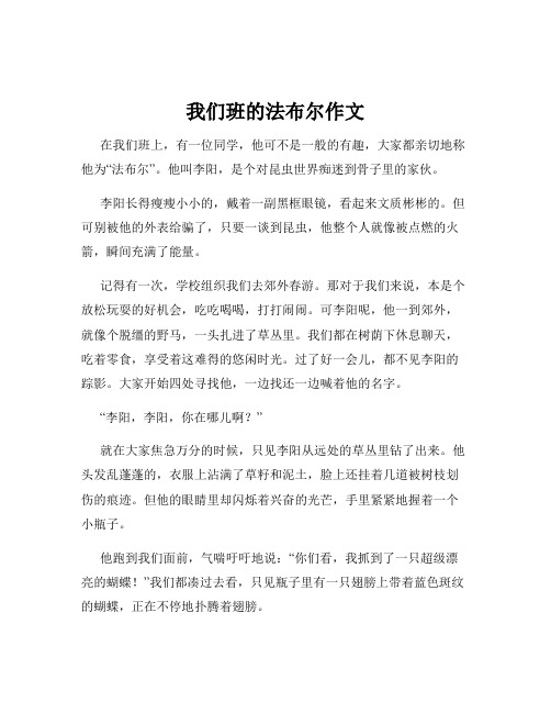 我们班的法布尔作文