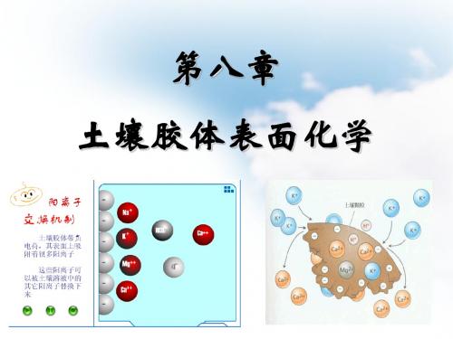 第八章土壤胶体表面化学