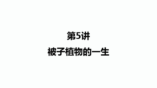 2020届达州中考生物总复习课件:第5讲 被子植物的一生(共24张PPT)