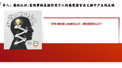 4.1人的认识从何而来 课件(27张PPT)-2023-2024学年高中政治统编版必修四哲学与文化