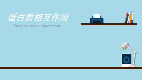 蛋白质相互作用