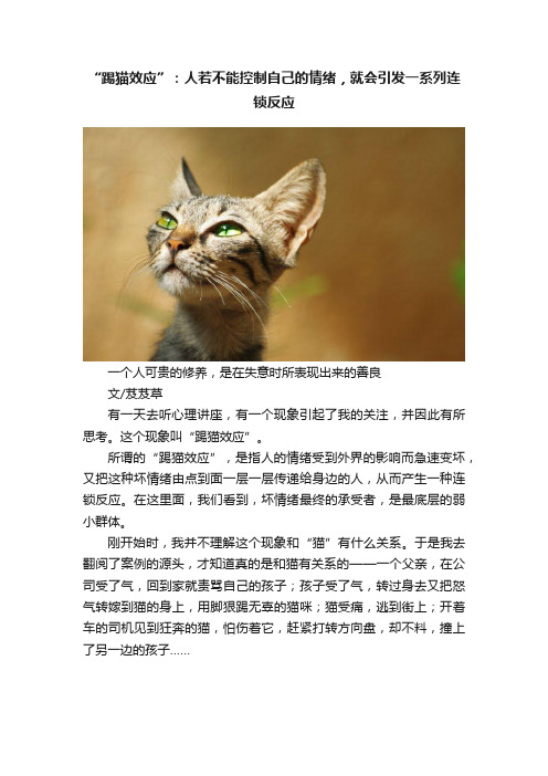 “踢猫效应”：人若不能控制自己的情绪，就会引发一系列连锁反应