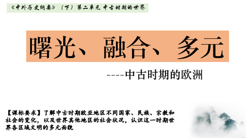 人教统编版高中历史必修中外历史纲要下 中古时期的欧洲 课件(27张)优质PPT