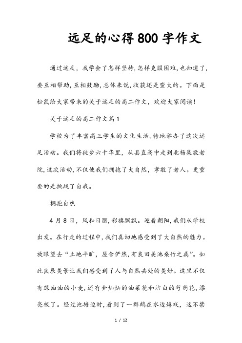 (精选)远足的心得800字作文(收藏)