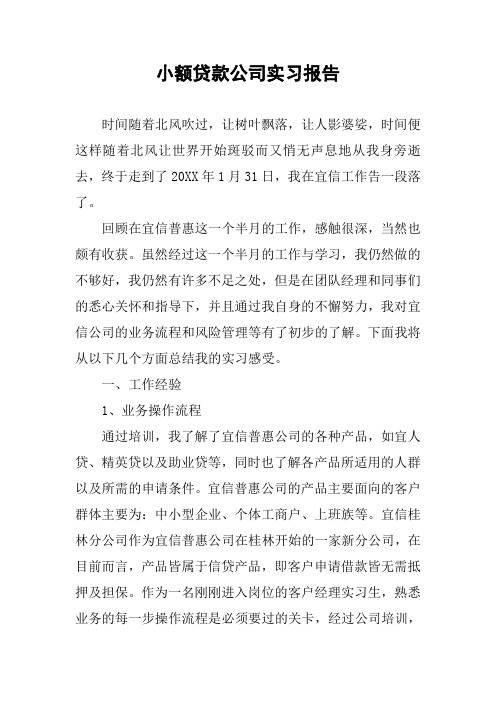 小额贷款公司实习报告