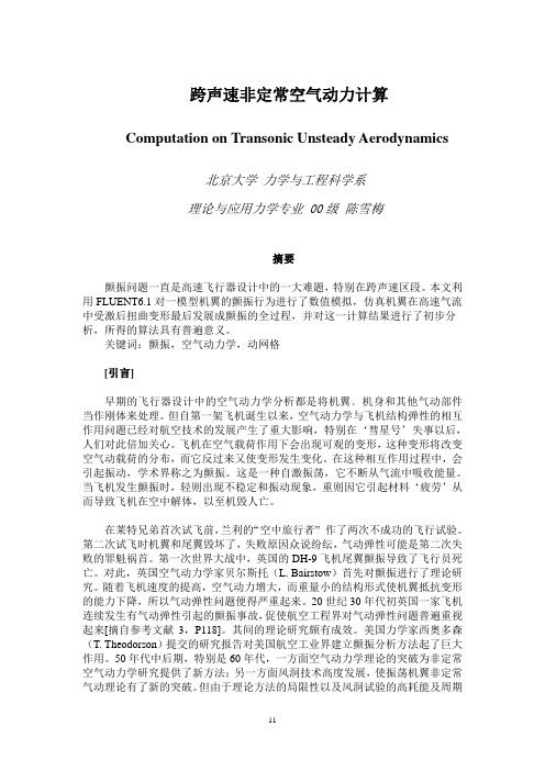 跨声速非定常空气动力计算与分析