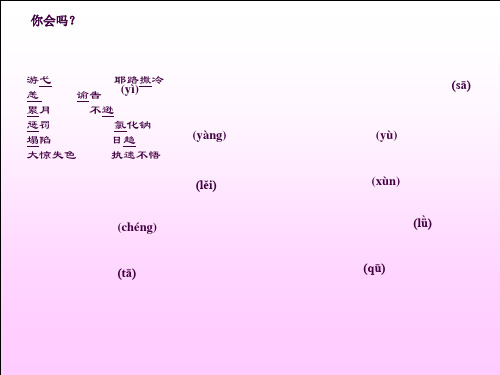 《死海不死》ppt课件