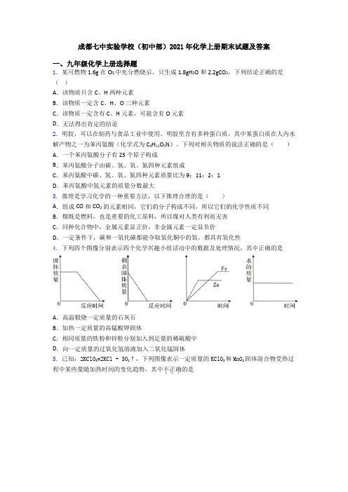 成都七中实验学校(初中部)2021年化学初三化学上册期末试题及答案