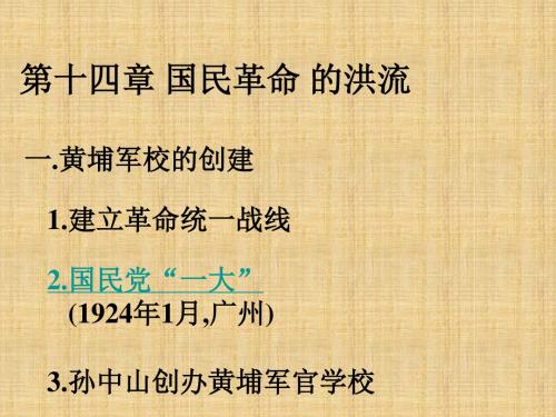 甘肃省酒泉市瓜州县第二中学初中八年级历史上册 第三单元 第14课 国民革命的洪流名师课件 北师大版