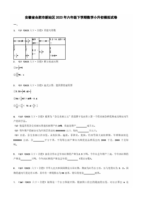 安徽省合肥市新站区2023年六年级下学期数学小升初模拟试卷 _学生用卷(答案含解析)