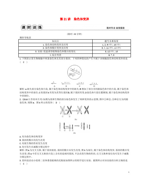 高考生物一轮复习 第七单元 生物的变异、育种和进化 第21讲 染色体变异